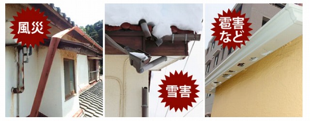 天災　雨樋　被害　